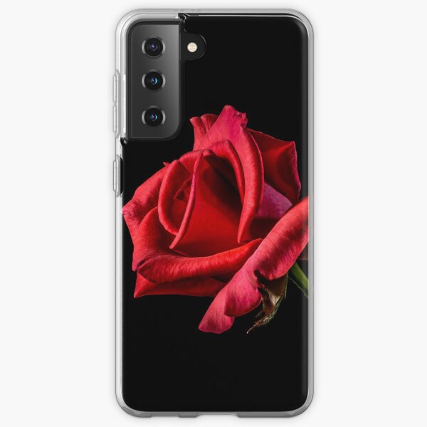 galaxy bella rose philipp plein