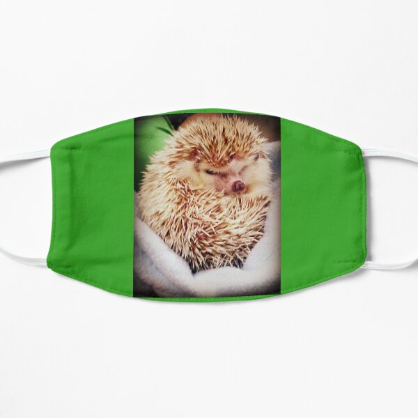 Hedgehog Flat Mask
