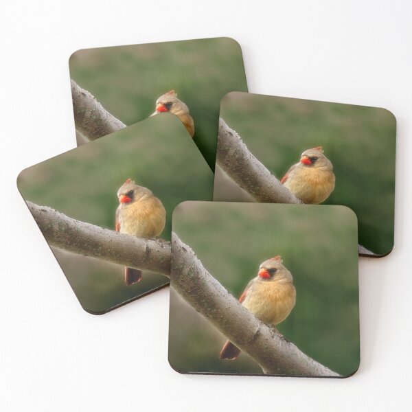 Item preview, Mrs. Cardinal designed and sold by Kathy Weaver.