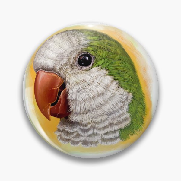 Item preview, Green quaker parrot realistic painting designed and sold by lifewithbirds.