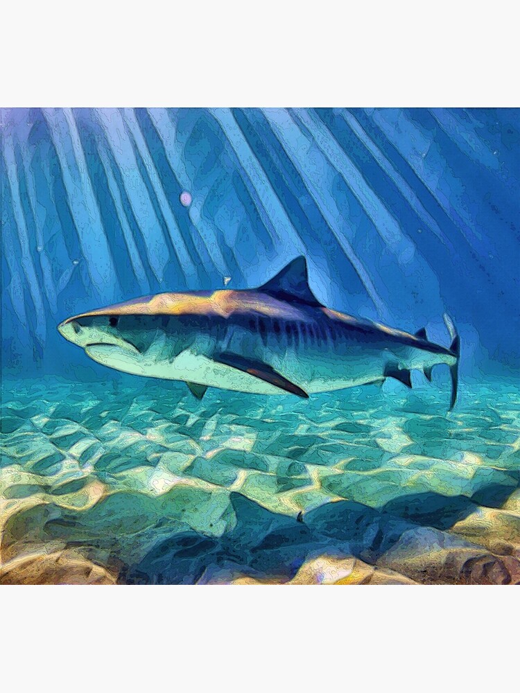 Tiger Shark  Poster for Sale by Heathermarie321