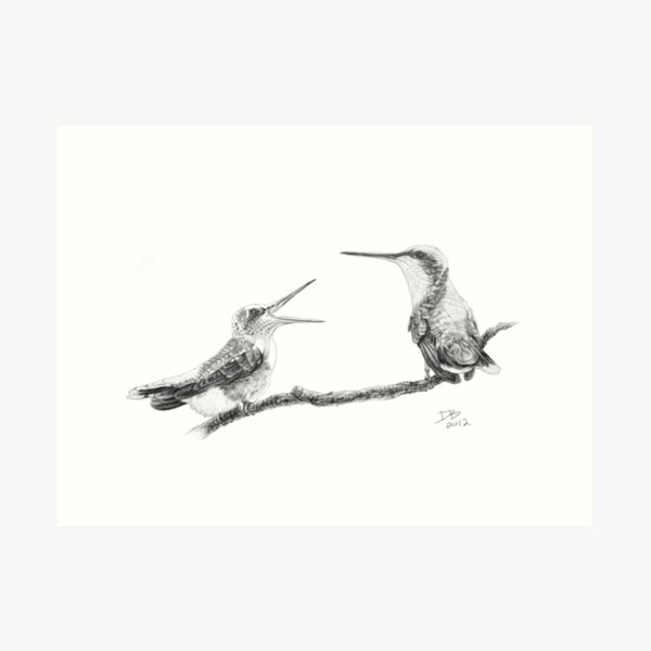 Ruby-Throated Hummingbird: Mother and Chick, 2012, Pencil Art Print