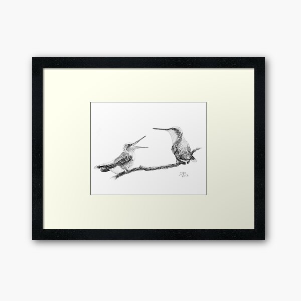 Ruby-Throated Hummingbird: Mother and Chick, 2012, Pencil Framed Art Print