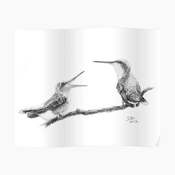 Ruby-Throated Hummingbird: Mother and Chick, 2012, Pencil Poster