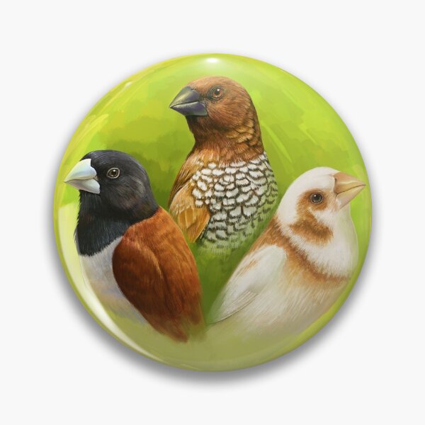 Artikelvorschau, Munia Finken realistische Malerei entworfen und verkauft von lifewithbirds.