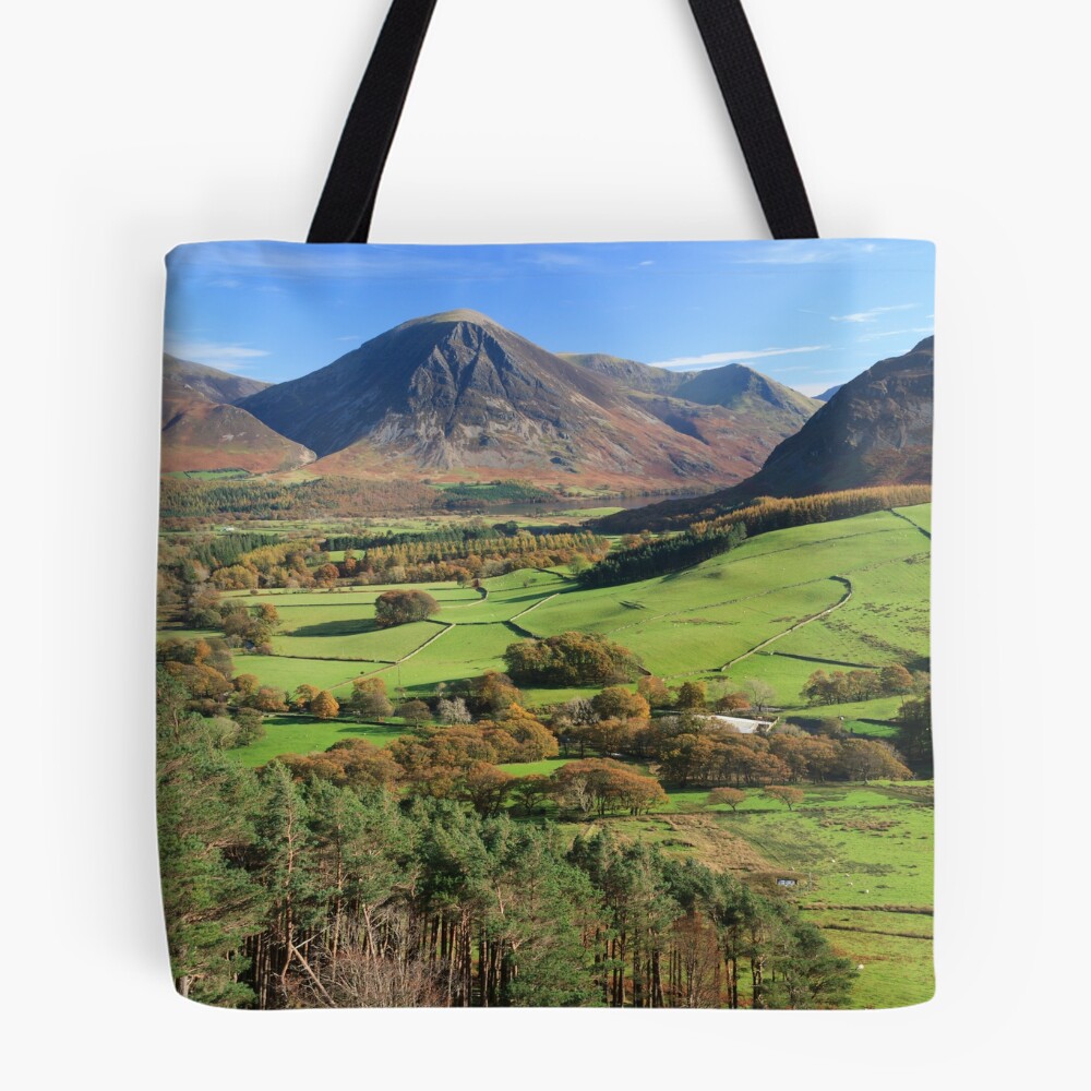 Vista previa del artículo con la obra «Bolsa estampada de tela», diseñado y vendido por bitm2007.
