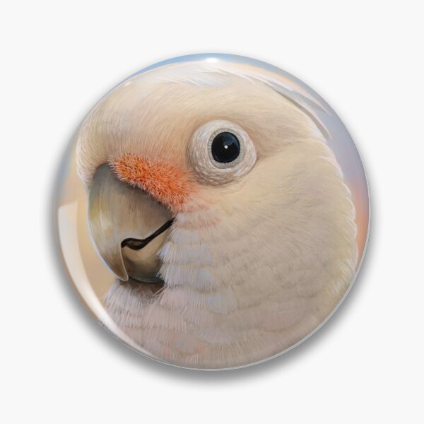 Artikelvorschau, Goffin Tanimbar Corella-Kakadu entworfen und verkauft von lifewithbirds.