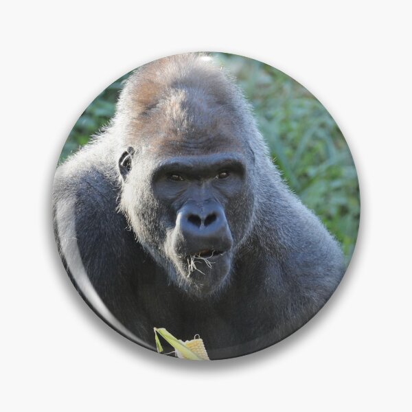 Item preview, Gorilla designed and sold by aquabella.