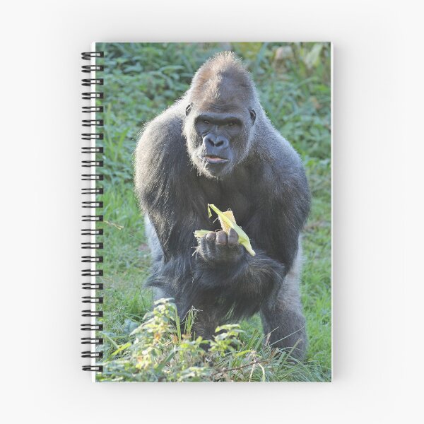 Item preview, Gorilla designed and sold by aquabella.
