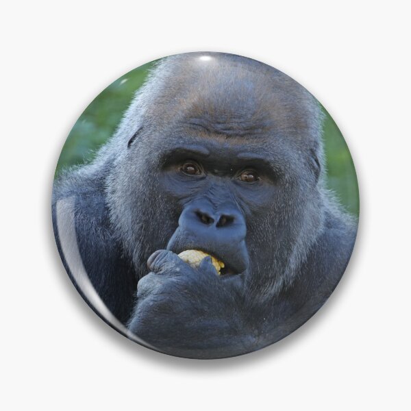 Item preview, Gorilla designed and sold by aquabella.