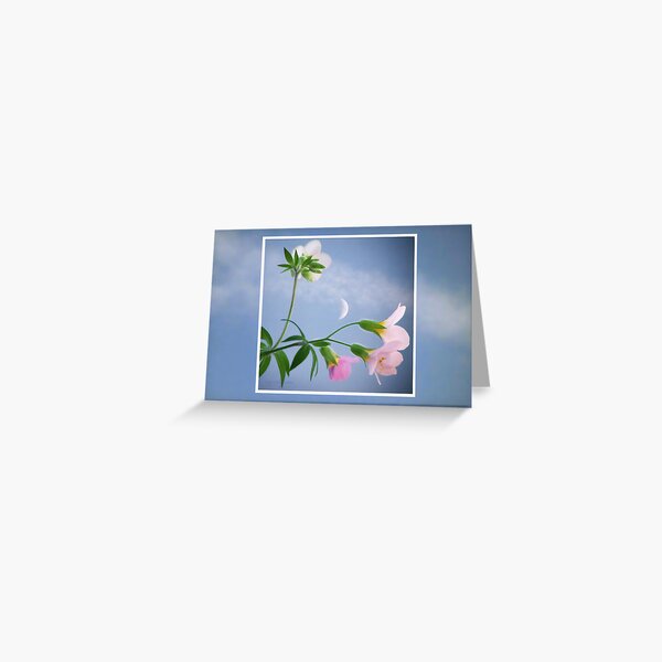 Regarding the Moon Greeting Card