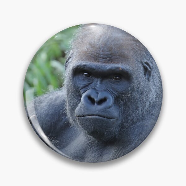 Item preview, Gorilla designed and sold by aquabella.