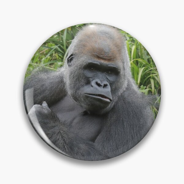 Item preview, Gorilla designed and sold by aquabella.