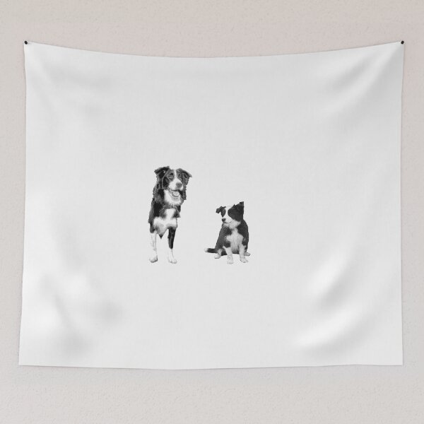 Aperçu de l'œuvre Border collies créée et vendue par Kym Howard.
