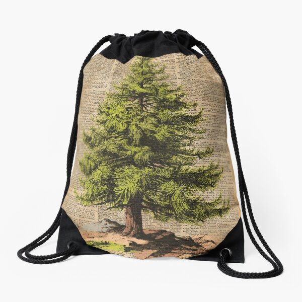 Item preview, Pine Tree,Cedar Tree,Forest,Nature Dictionary Art,Christmas Tree designed and sold by DictionaryArt.