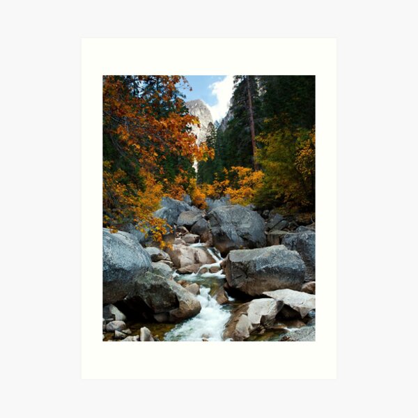 Autumn at Yosemite Art Print
