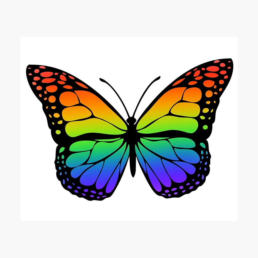 Rainbow Butterfly LV Poster