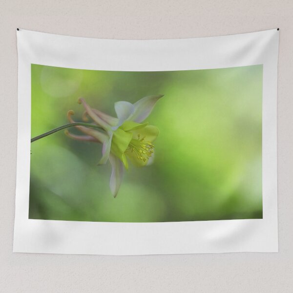 Item preview, Aquilegia Flower designed and sold by clint hudson.