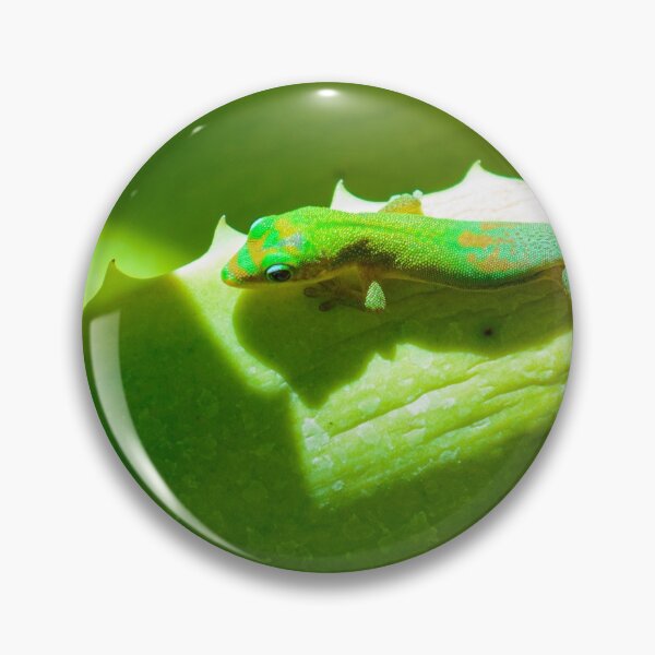 Item preview, Green gecko designed and sold by Gaël FONTAINE.