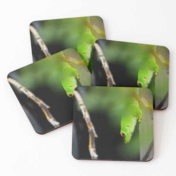 Item preview, Green gecko designed and sold by Gaël FONTAINE.