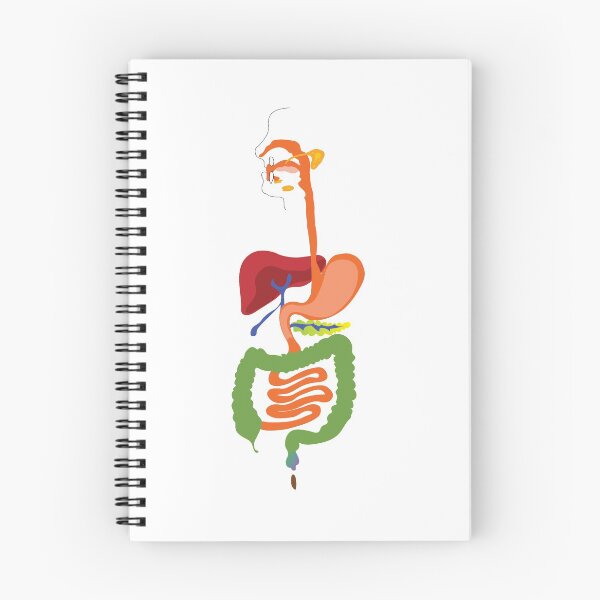 Item preview, digestive system poster designed and sold by KARTICK DUTTA.