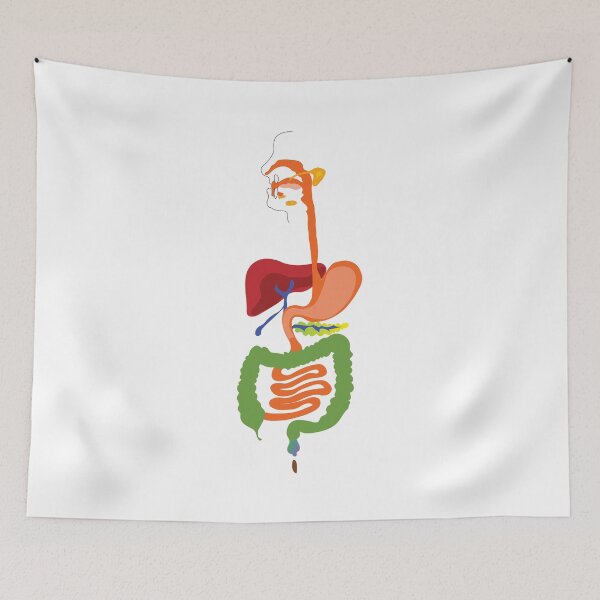 Item preview, digestive system poster designed and sold by KARTICK DUTTA.