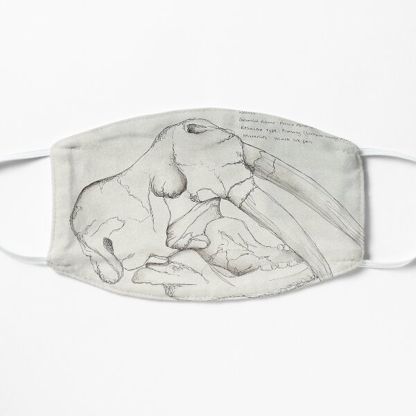 Walrus Mask