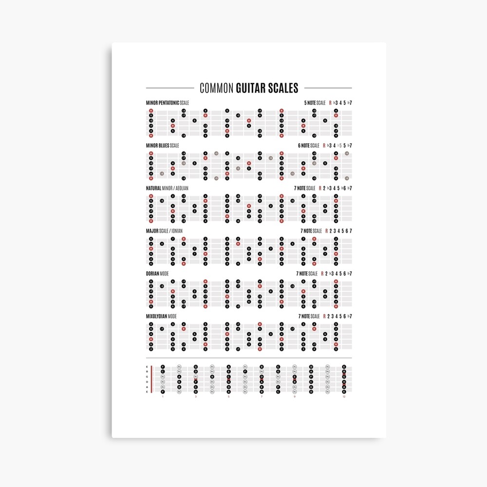Guitar Common Scales Poster for Sale by pennyandhorse