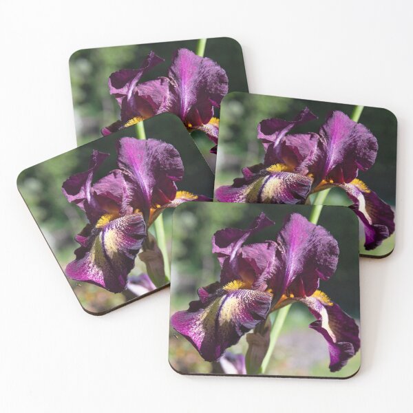 Item preview, Iris Germanica Sen Lac designed and sold by Kezzles.