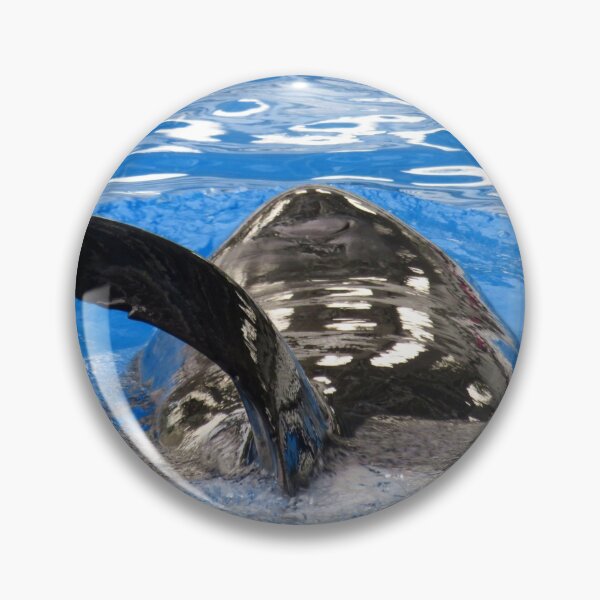 Item preview, The dorsal fin of a killer whale  designed and sold by PPFImages.