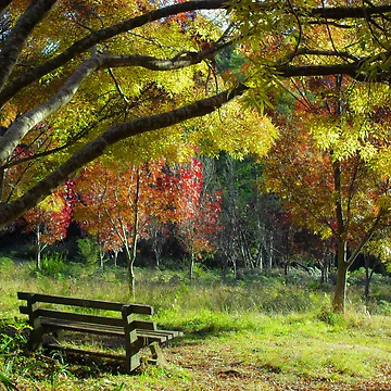 Artwork thumbnail, Autumn by dropsofjupiter