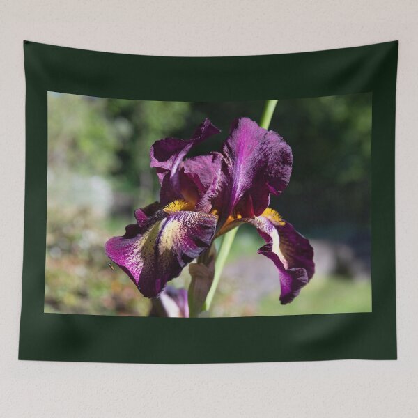 Item preview, Iris Germanica Sen Lac designed and sold by Kezzles.