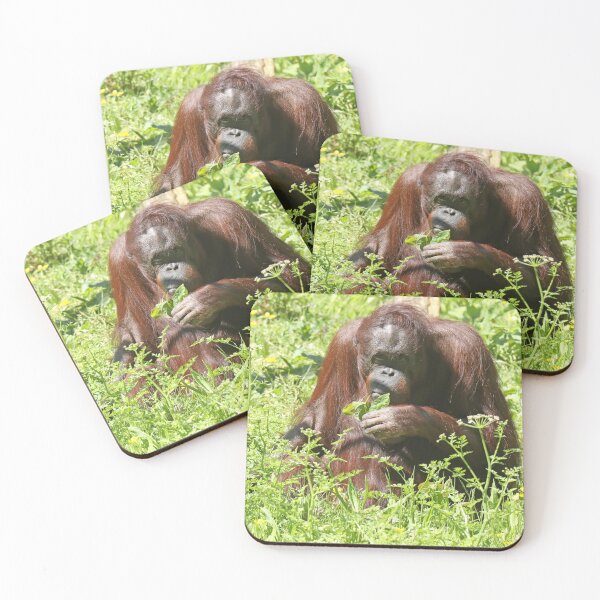 Item preview, Orang Utan designed and sold by aquabella.