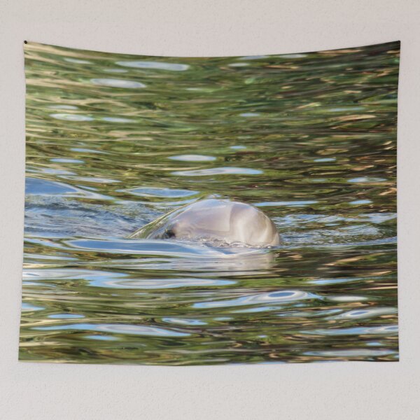 Item preview, A dolphin keeping an eye on things designed and sold by PPFImages.