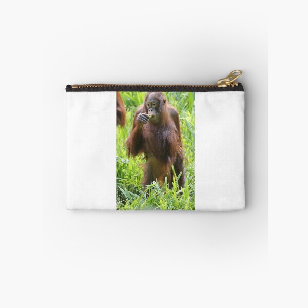 Item preview, Orang Utan designed and sold by aquabella.