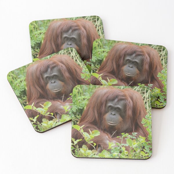 Item preview, Orang Utan designed and sold by aquabella.