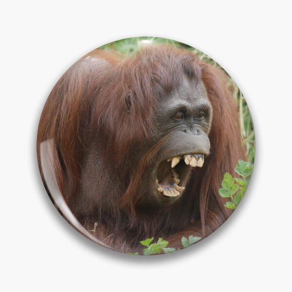 Item preview, Orang Utan designed and sold by aquabella.