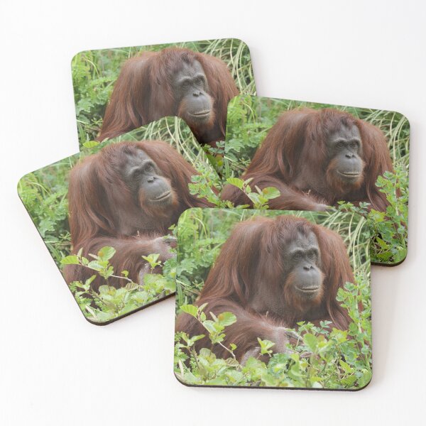 Item preview, Orang Utan designed and sold by aquabella.