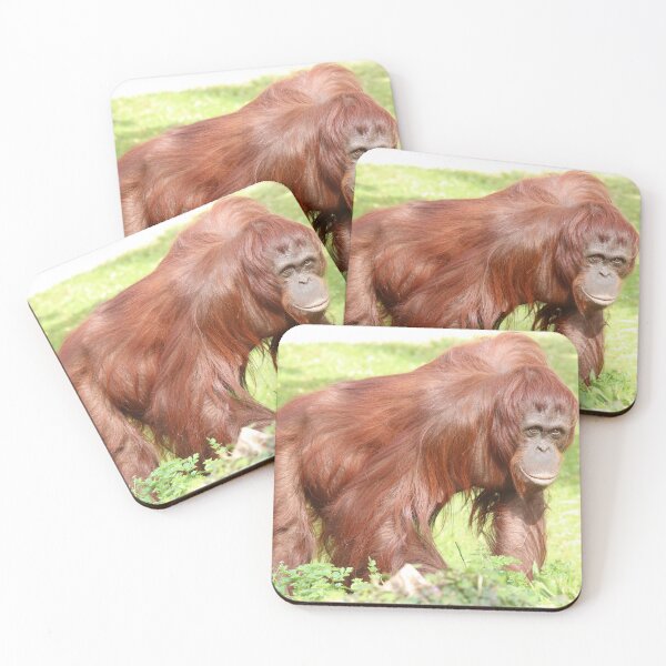 Item preview, Orang Utan designed and sold by aquabella.