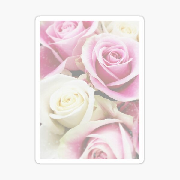 Colourful rose bouquet in pastel colours. Sticker