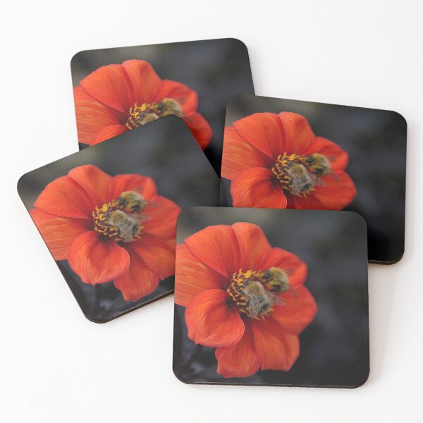 Item preview, Open all hours designed and sold by Photography  by Mathilde.