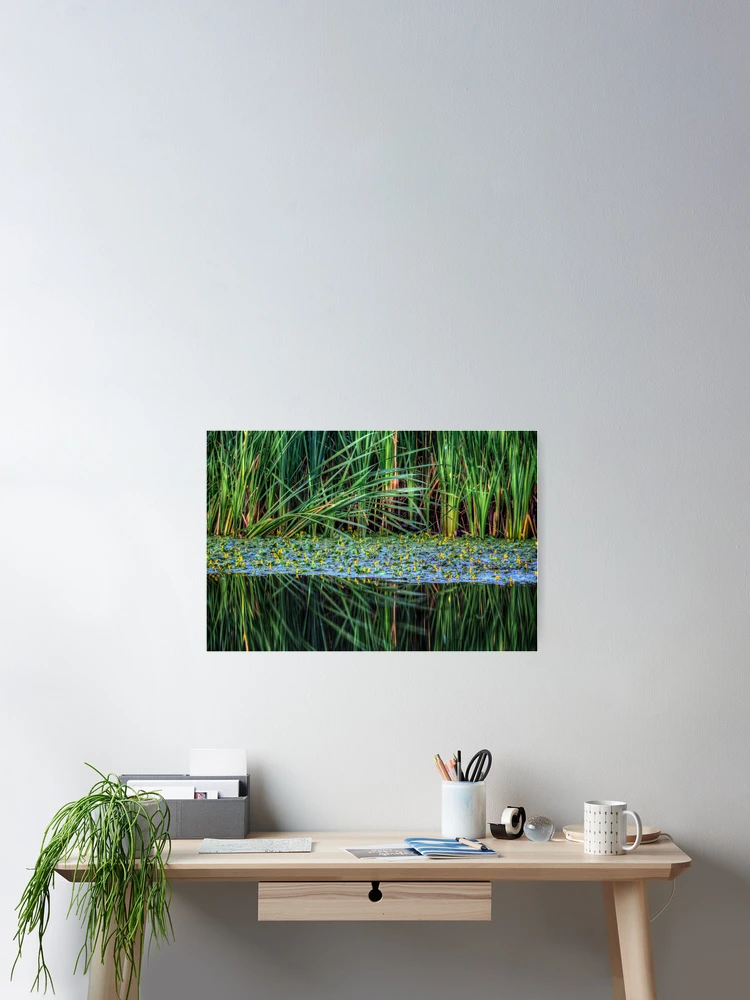 Thumbnail 2 of 3, Poster, Splitting Reeds designed and sold by Bob Larson.