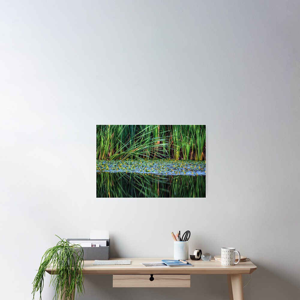 Item preview, Poster designed and sold by boblarsonphoto.