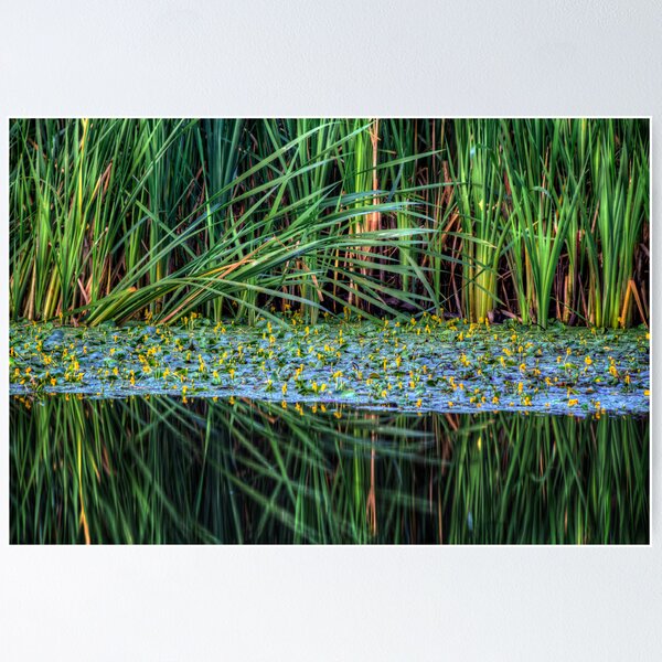 Item preview, Splitting Reeds designed and sold by Bob Larson.