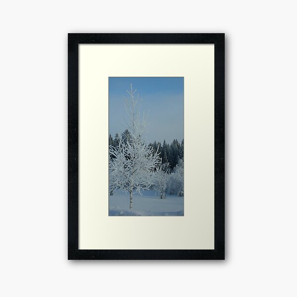 winter Framed Art Print