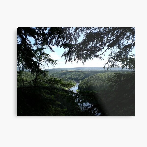 Usva Metal Print