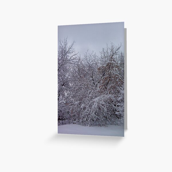 april in snow Greeting Card
