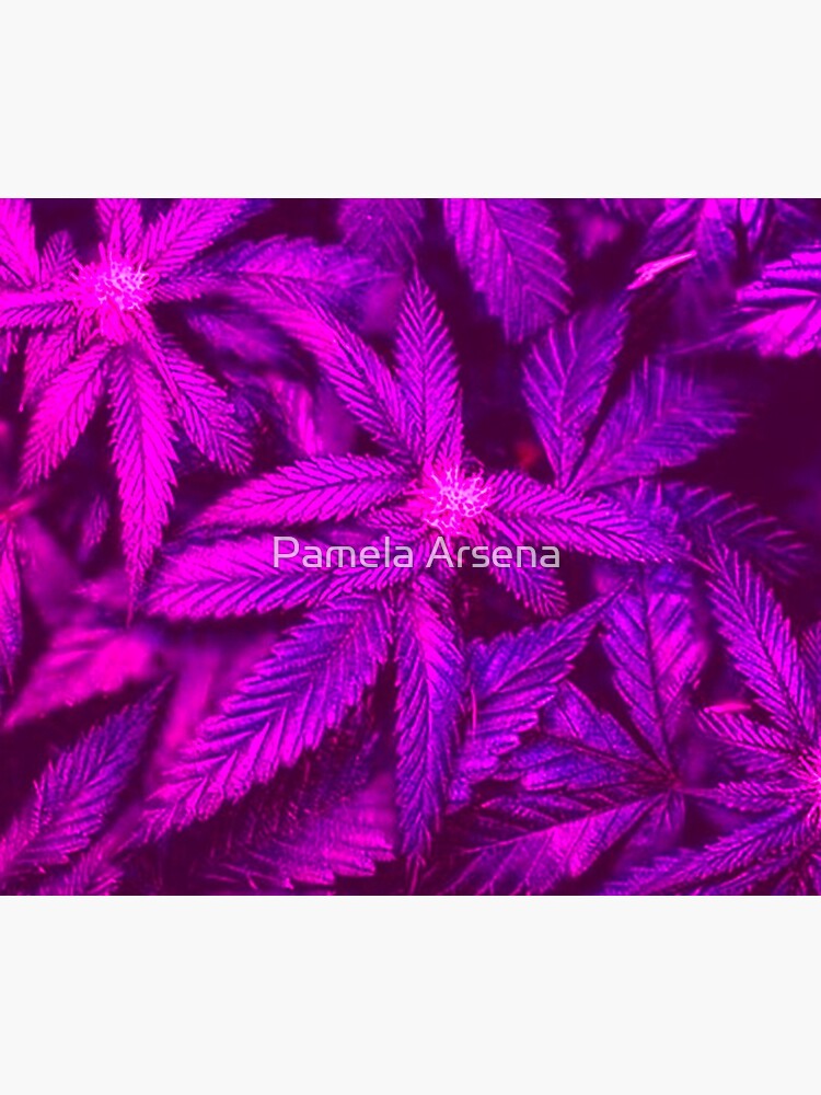 Psychedelic Cannabis Pink Marijuana Leaves by xpressio
