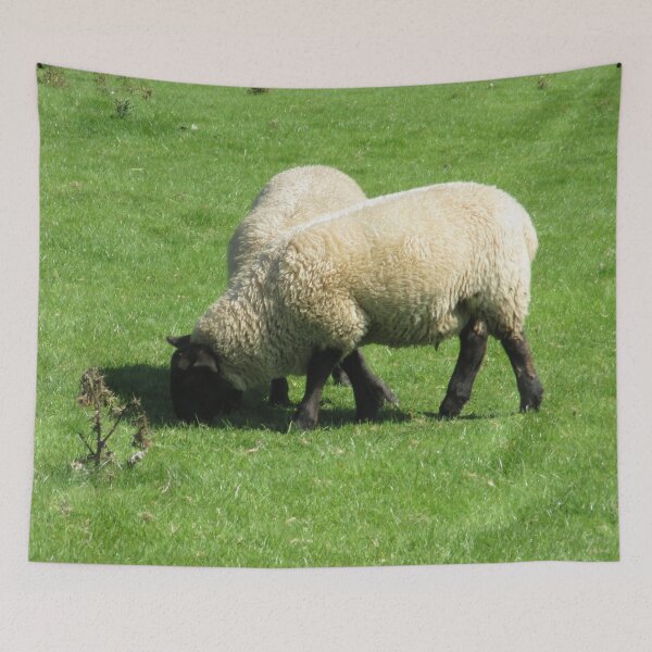 Item preview, #76 |☼| Sheep - Shot 2 (Hadrian's Wall) designed and sold by Naean H.F. (Nez Man).