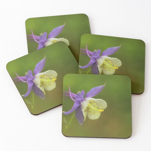 Item preview, Aquilegia designed and sold by clint hudson.
